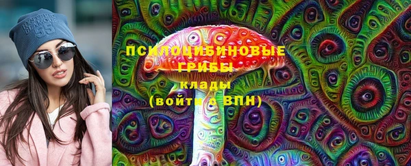 сатива Аркадак