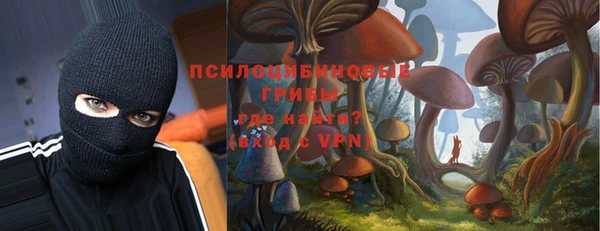 сатива Аркадак