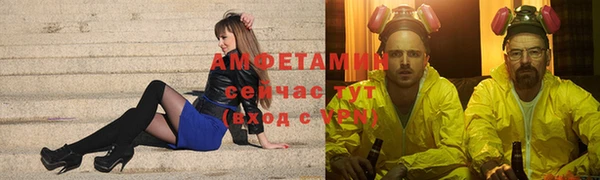 сатива Аркадак