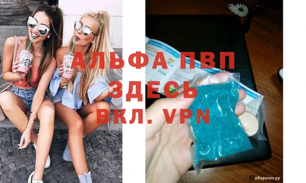 сатива Аркадак