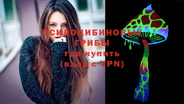сатива Аркадак