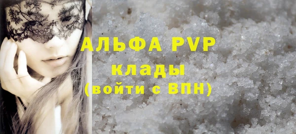 сатива Аркадак
